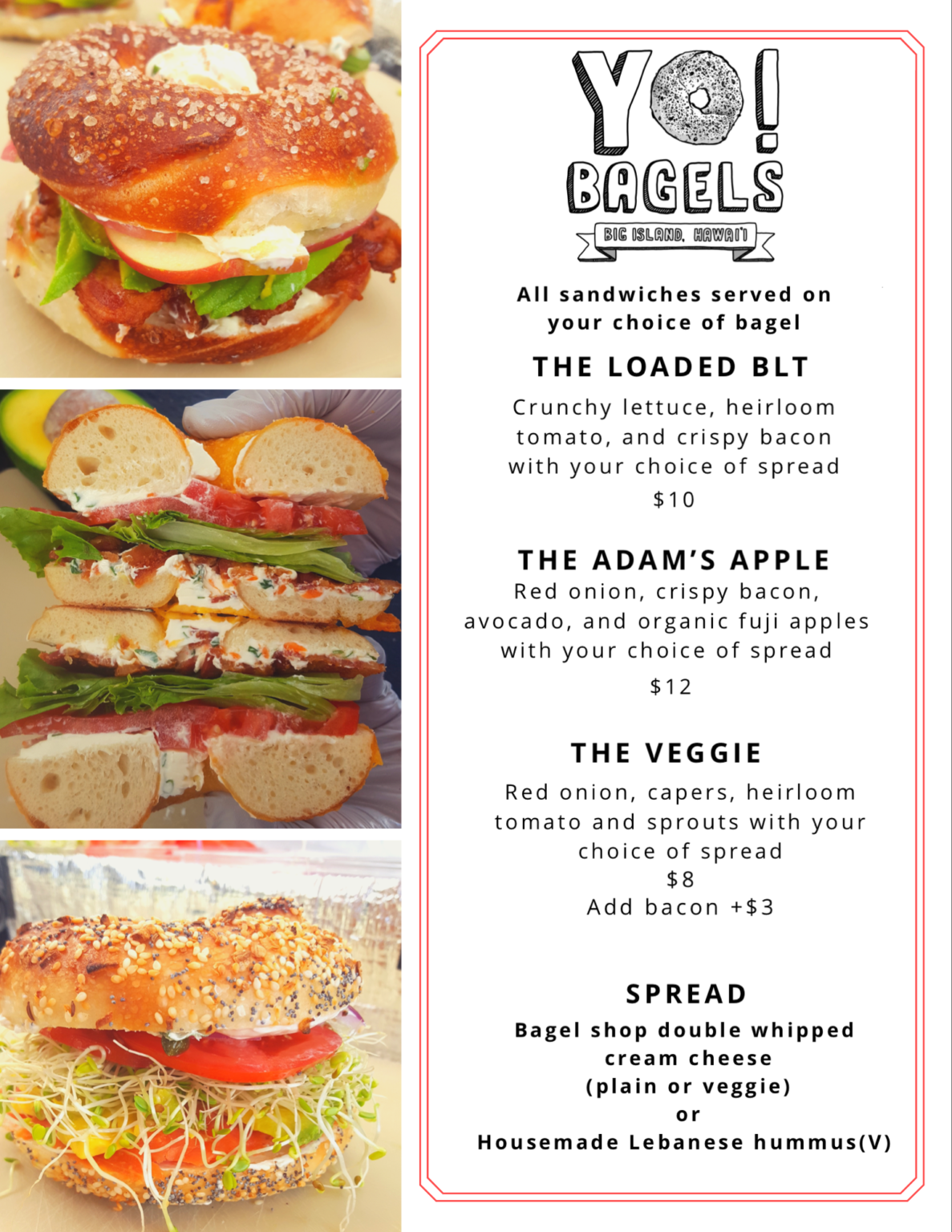 Bagel Flavors & Ordering Yo Bagels!